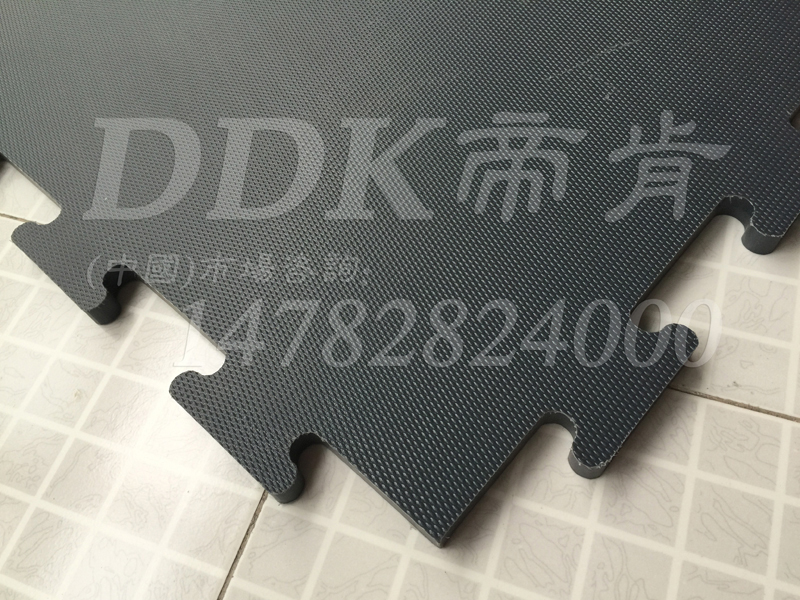 帝肯(DDK)_2900（MB|迈霸）