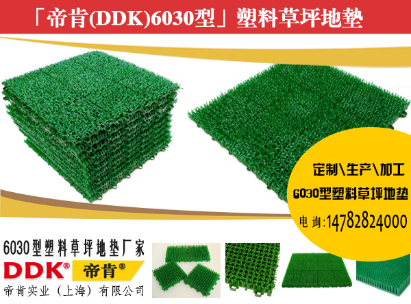 帝肯DDK6030型拼块式塑料草坪地垫